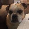 jdsmalls26